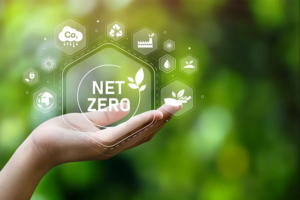 Net Zero